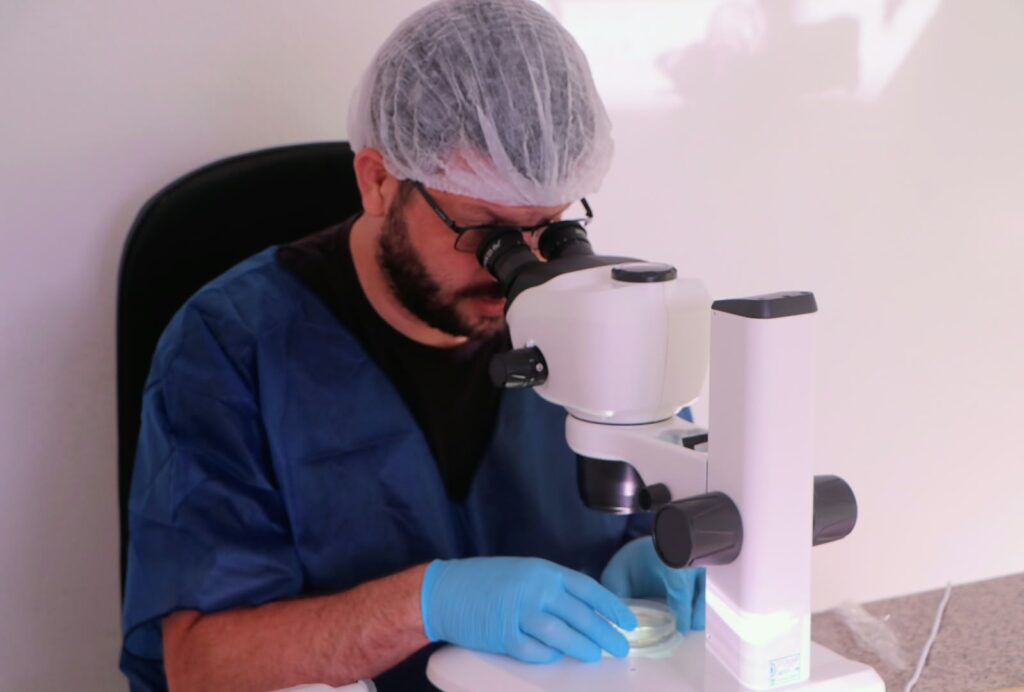 Pesquisadores realizam procedimento de reprodução assistida com material genético de jumentos nordestinos em laboratório da Universidade Federal de Viçosa.