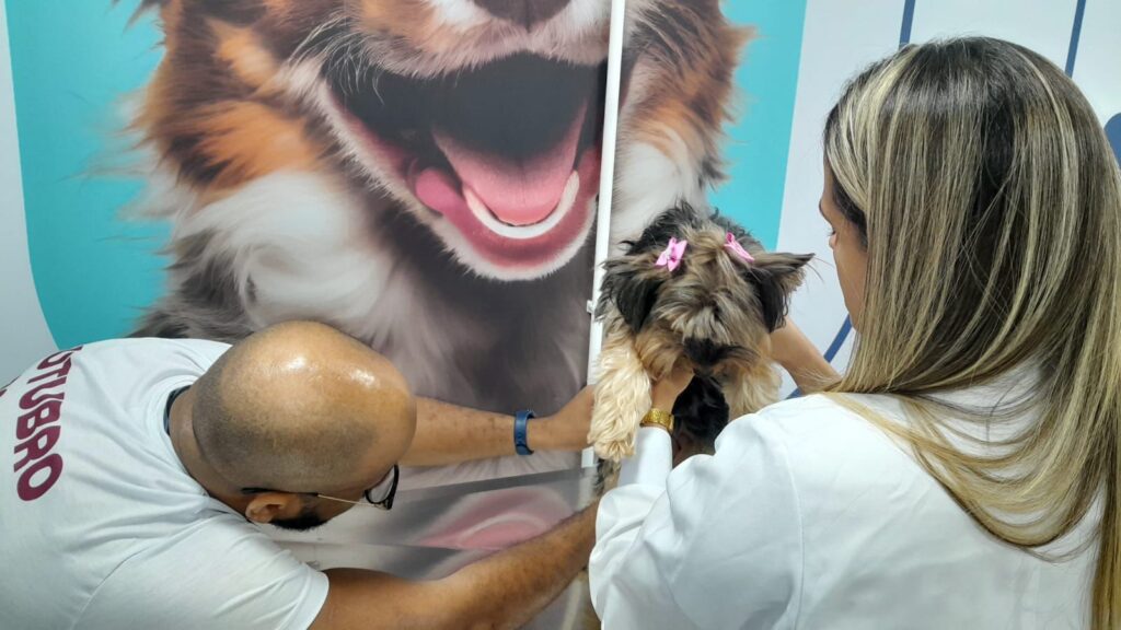 Veterinário realiza exame preventivo de palpação das glândulas mamárias em uma cadela durante ação do Outubro Rosa Pet na Clínica-Escola Veterinária da Unijorge.